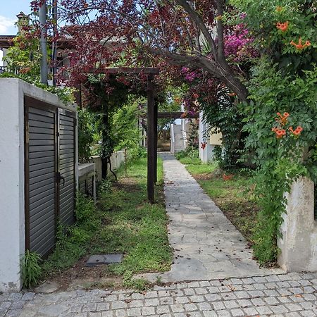 Melina Apartments Nikíti Kültér fotó